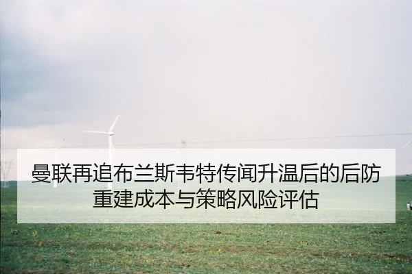 man-lian-zai-zhui-bu-lan-si-wei-te-chuan-wen-sheng-wen-hou-de-hou-fang-chong-jian-cheng-ben-yu-ce-lve-feng-xian-ping-gu-2-285.jpg